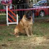 foire-haricots 2011-09-17et18